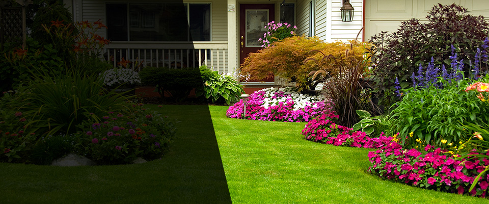 Castle Rock Landscapers