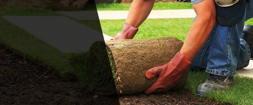 Castle Rock Landscapers